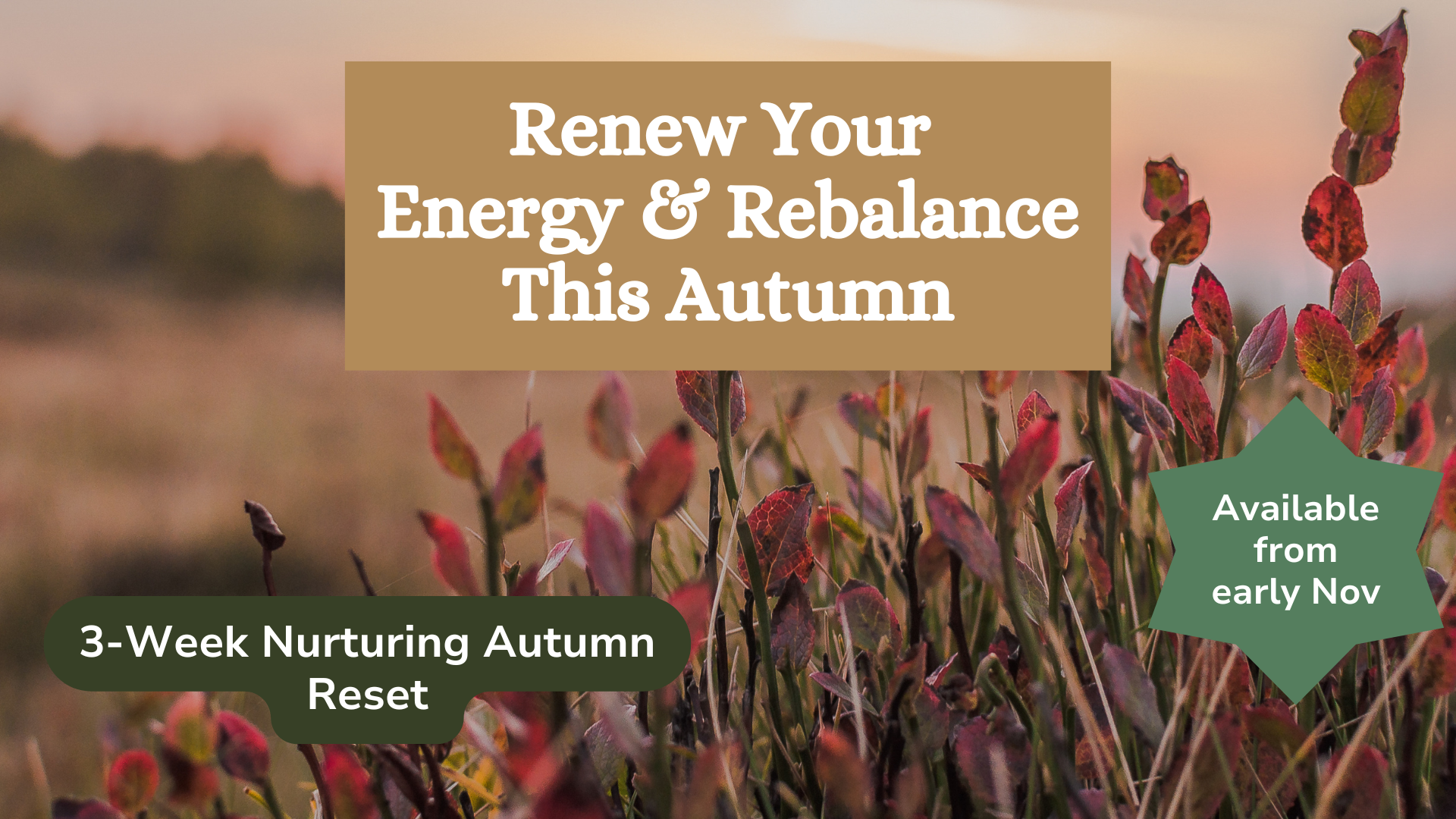 3-Week Nurturing Autumn Reset